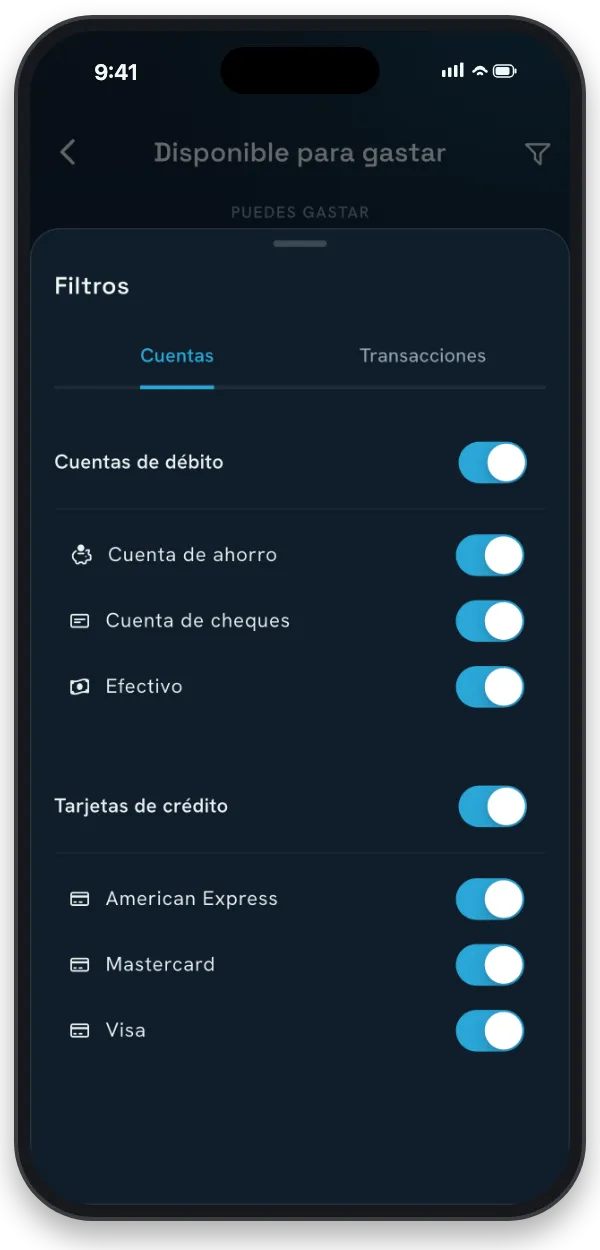 La pantalla de dinero disponible con el filtro de cuentas abierto